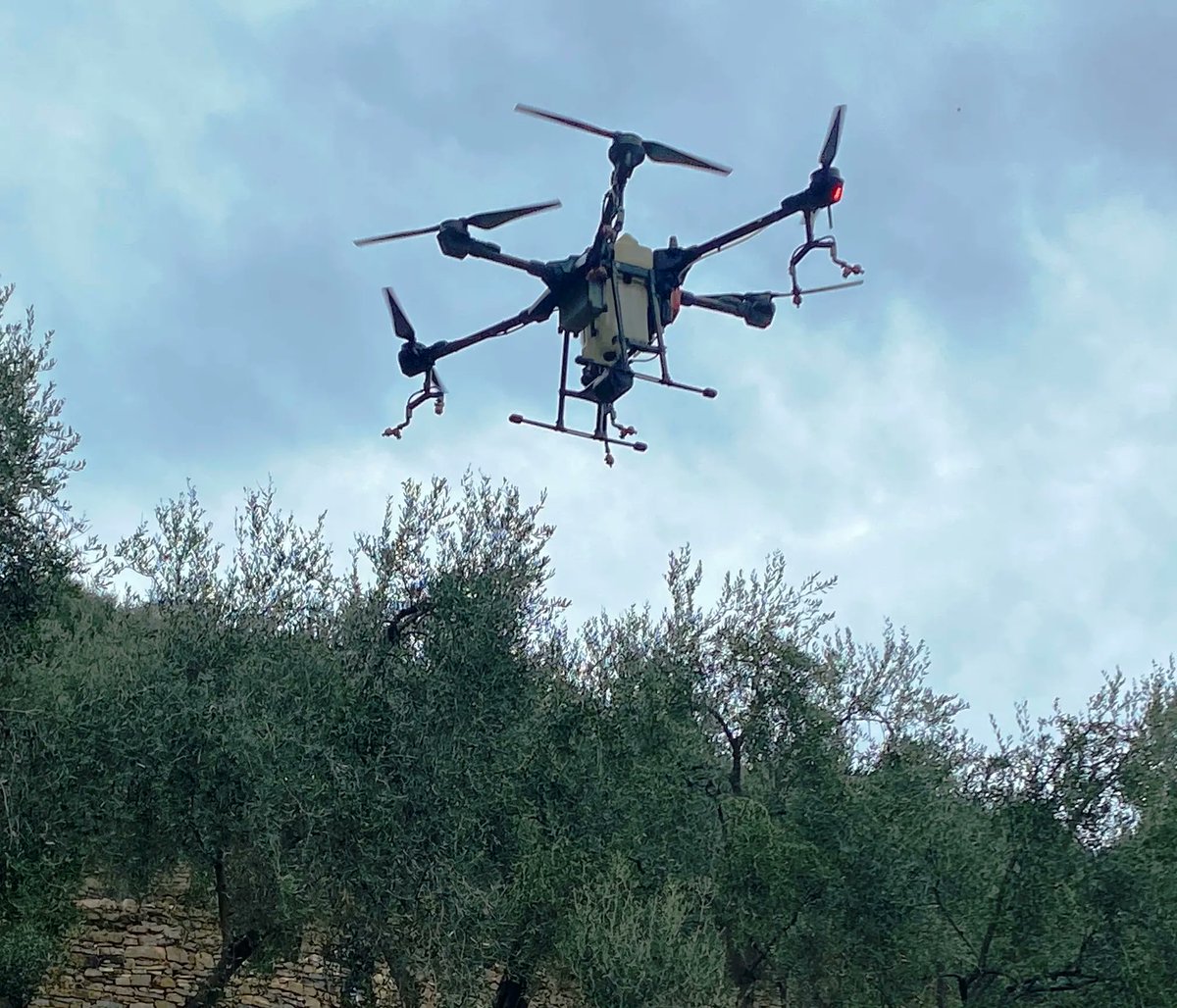 CCIAARIVLIG's tweet photo. Droni per la difesa dell'olivicoltura ligure con il progetto innovativo del #Cersaa di Albenga
Cia - Agricoltori Italiani Savona
@cersaa_news  Centro di Sperimentazione e Assistenza Agricola @GiovanniMinuto  #cciaarivlig 
https://t.co/3f79QUiCBI
Olig + https://t.co/sncwAYQlx1