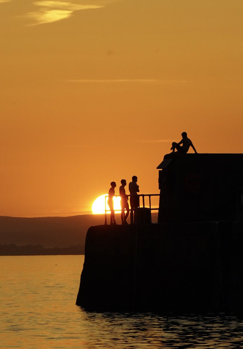 Harbour Sup tweet media