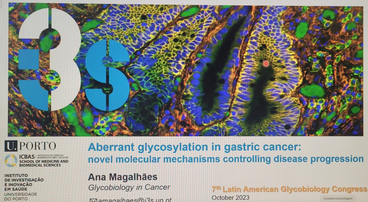 Iván Martínez Duncker MD ScD (@dunckeruaem) on Twitter photo Great talk by Ana Magalhaes from <a href="/i3S_UPorto/">i3S-Instituto de Investigação e Inovação em Saúde</a>. 7th Latin American Glycobiology Congress. Free & Online.#glycotime Great talk by Ana Magalhaes from <a href="/i3S_UPorto/">i3S-Instituto de Investigação e Inovação em Saúde</a>. 7th Latin American Glycobiology Congress. Free & Online.#glycotime