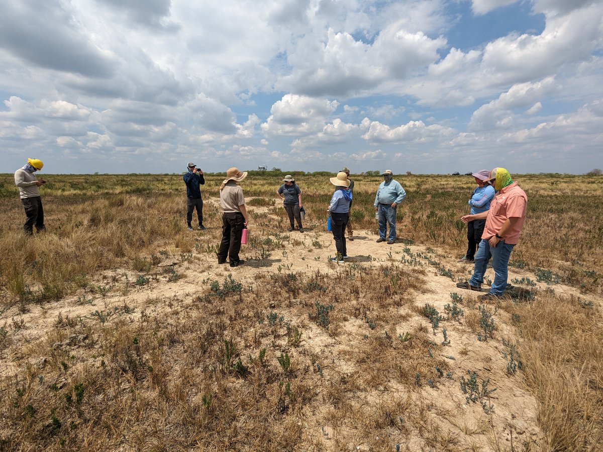 sirrahdnairb's tweet photo. Excited to kick off @ArmyERDC's collab with @USGS, @DucksUnlimited, @USFWS, and @TPWDnews to develop Texas's #BUDM Master Plan with a site selection trip to McFaddin National Wildlife Refuge and J. D. Murphree State Wildlife Management Area
For more info: https://t.co/MVIbrSaiEX https://t.co/ddXiytshjX