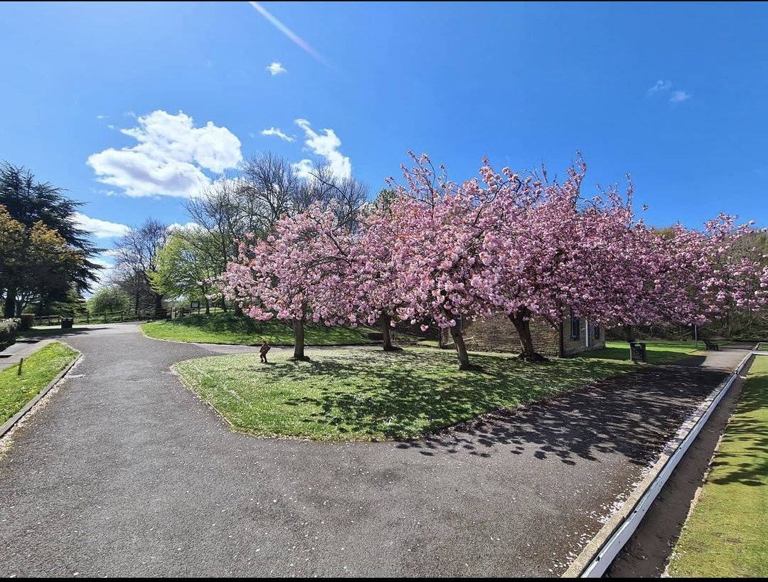 Niall Bache tweet media