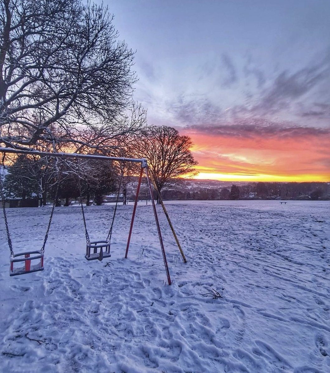 Niall Bache tweet media