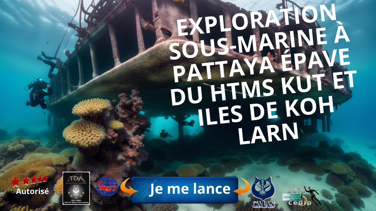 Exploration Sous-marine à Pattaya : Épave du HTMS Kut et Iles de Koh Larn
plongee-asie.com
youtu.be/kp1Y4o1wVvg
#PlongéePattaya, #HTMSKut, #KohLarn, #ExplorationSousMarine, #VoyagePlongée, #FauneMarine, #AventureSousMarine, #ThaïlandeDiving, #ÉpaveSousMarine,