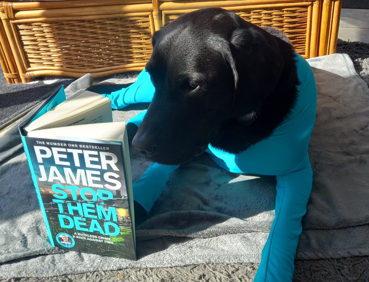 nicky63's tweet photo. @peterjamesuk @Fortnums Floyd was  delighted that his post surgery recovery suit matched the livery of Stop  them Dead! He's thoroughly enjoying reading it while recouperating! #StopThemDeadGiveaway #peterjames #roygrace #stopthemdead https://t.co/ecCpQLIb0l