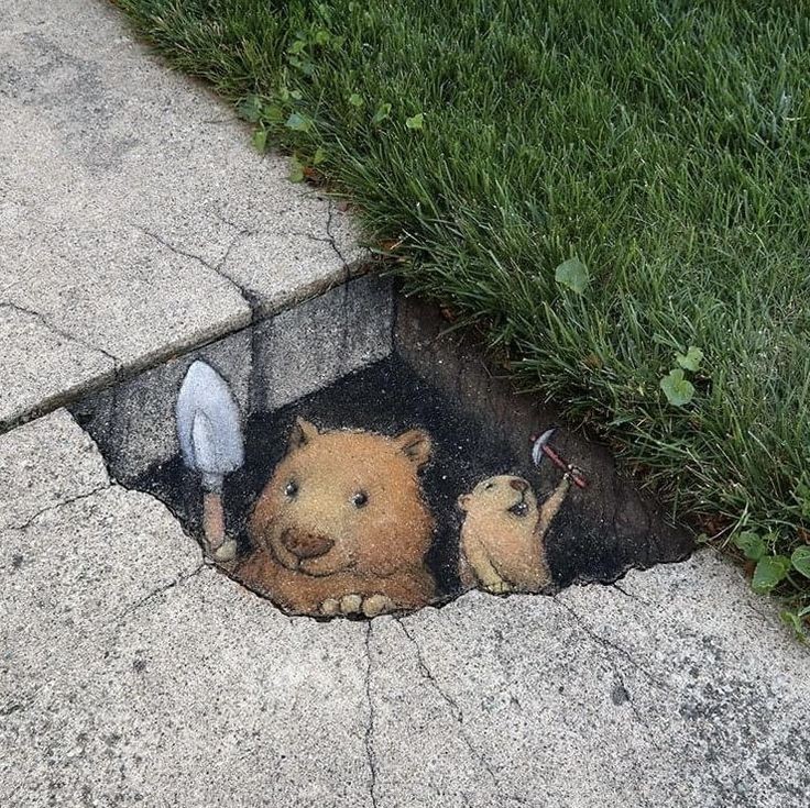 AmzngEarth's tweet image. Beautiful chalk street art by @davidzinn_art 🤩
#Amazing #SidewalkChalk #StreetArt #3D #animals #digging #wednesdaythought
