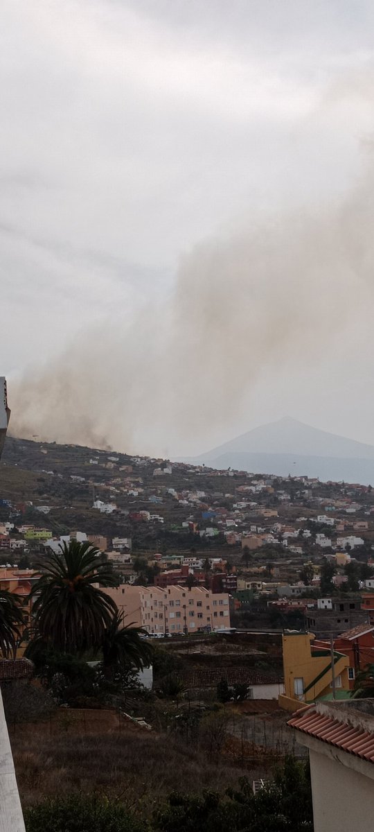 RebekaGdR's tweet photo. Así estamos de nuevo 😔 este tiempo no acompaña y el incendio sigue. #incendiotenerife https://t.co/qTc0QFBhVN