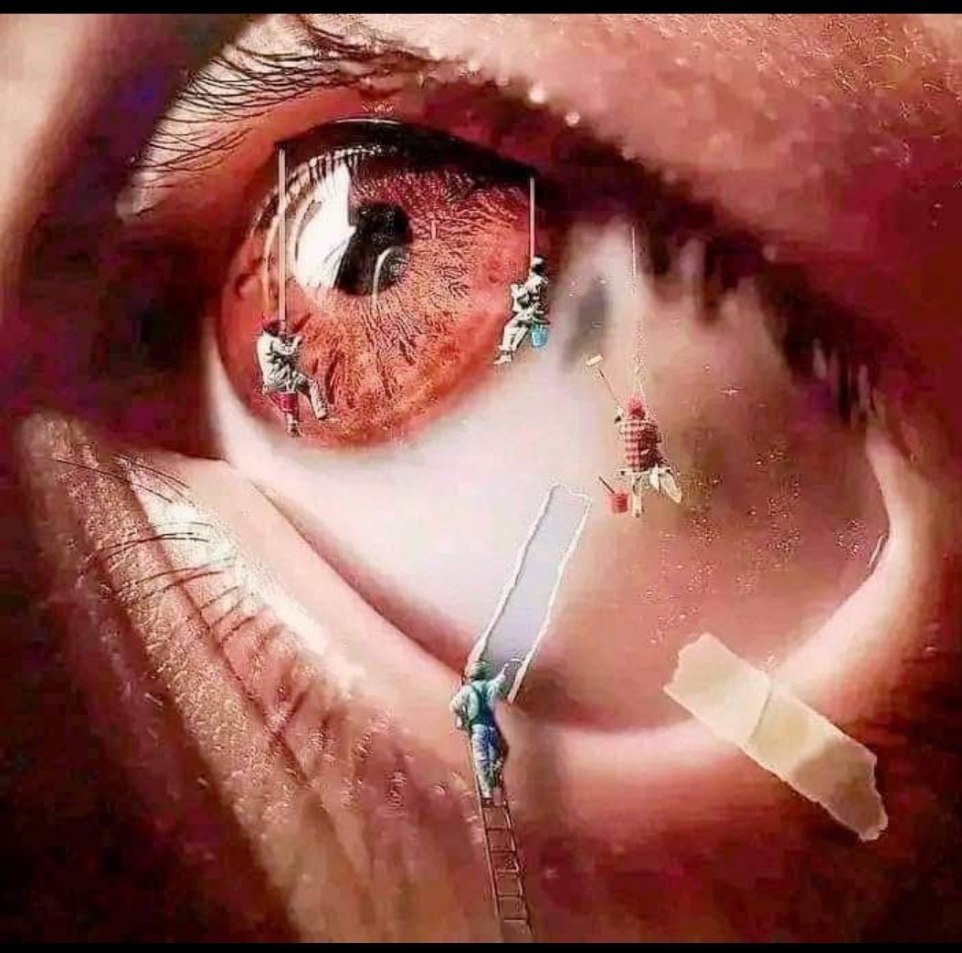 Shazia_021's tweet photo. اُس کی آنکھوں پہ لُٹائی ہے بصارت ہم نے. 
اس سے پہلے ہمیں ہر رنگ نظر آتا تھا.

#اردو_زبان https://t.co/UmzjUAmnph