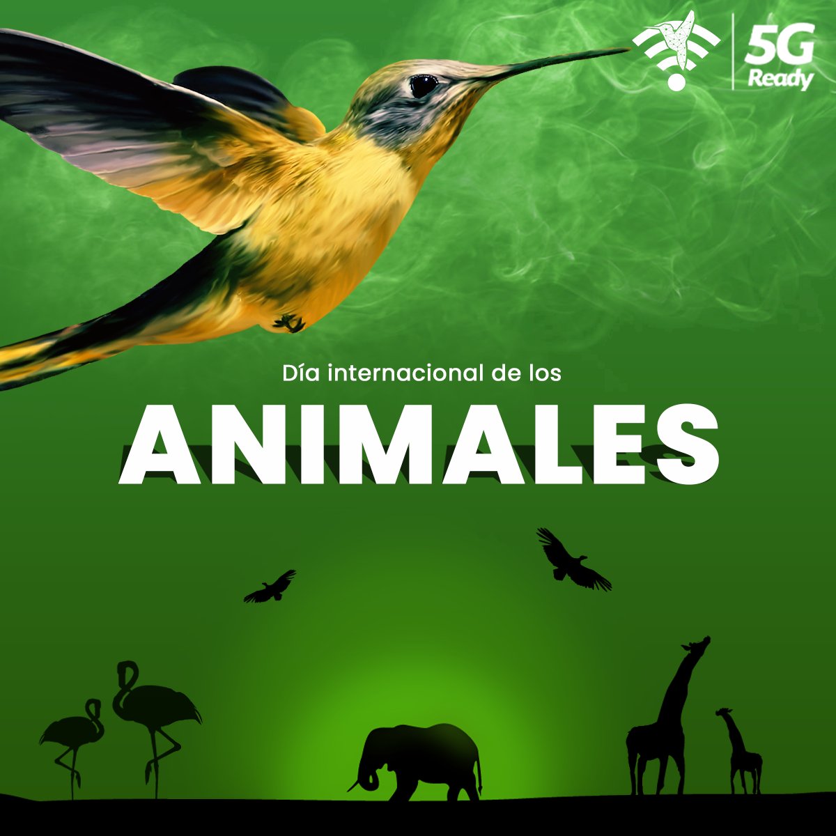 VASANTAMX's tweet photo. Los animales son parte esencial de nuestro planeta 🌎, nuestra responsabilidad es respetar y preservar la diversidad que nos rodea. 🐶🐯🐬🦩
04 de octubre ¡Feliz día de los animales!💚 #DiaDeLosAnimales #animals https://t.co/GE8lhAcSYG