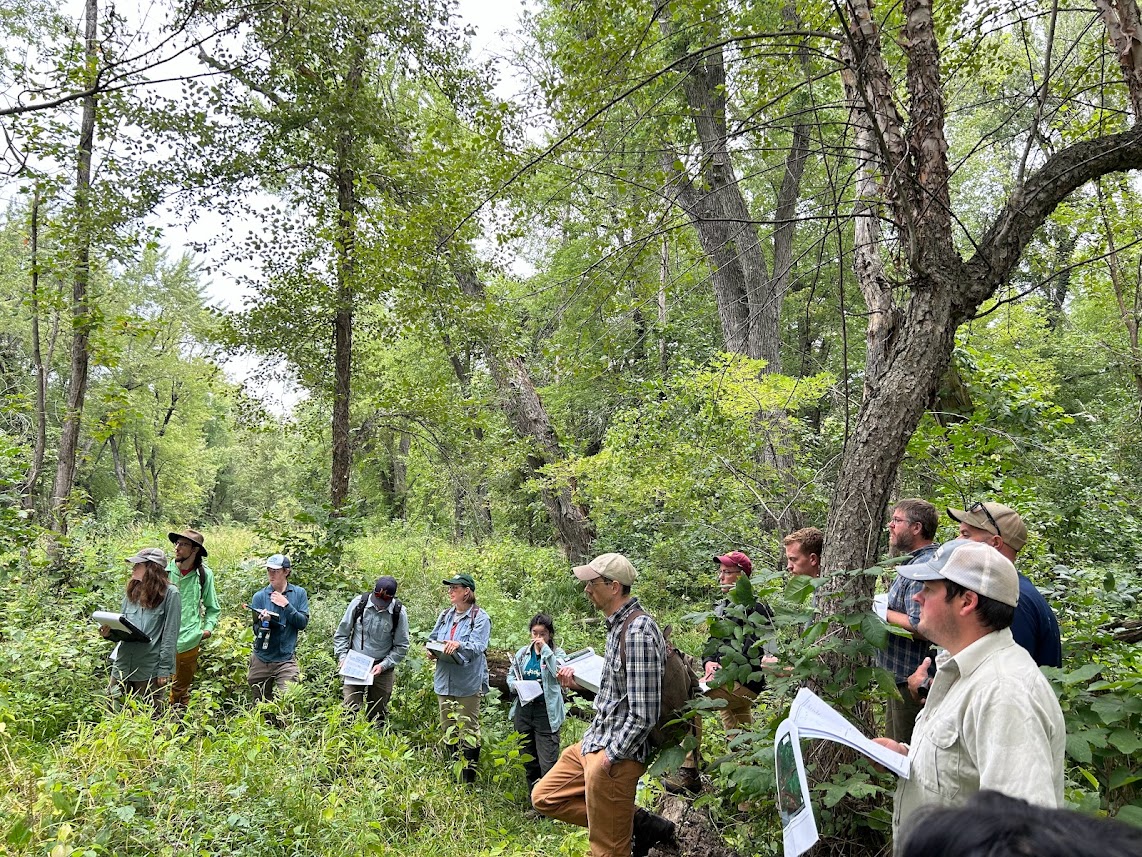 In September, researchers and partners on a project investigating climate-driven changes to flood events and floodplain forests in the Upper Mississippi River gathered in the Lake Pepin area.

Participants looked at floodplain forest development stages in the field.
