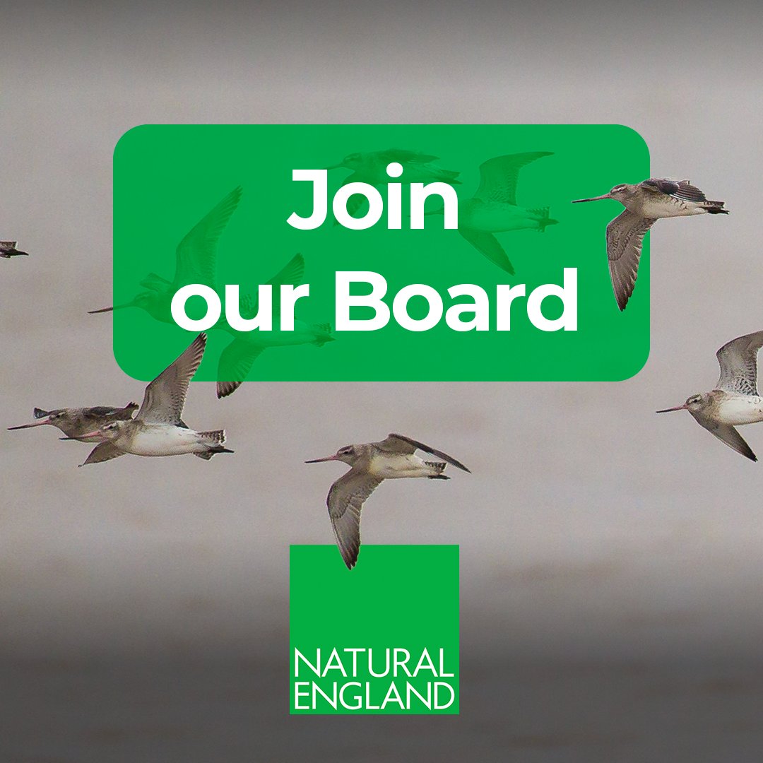 Passionate about making a positive impact for people and nature? 🌿

We're recruiting for new Board Members with experience and perspectives in business, agriculture, finance and infrastructure. 

Join us in building partnerships for #NatureRecovery …for-public-appointment.service.gov.uk/roles/7807