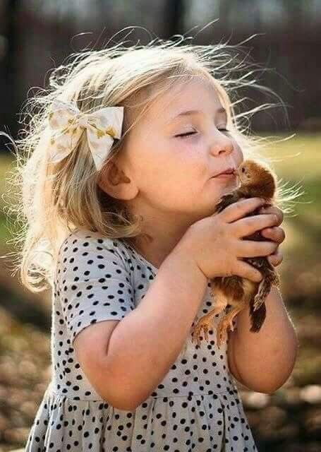 Bir milletin büyüklüğü ve ahlaki gelişimi, hayvanlara olan davranış biçimi ile değerlendirilir. 🦆😺🐰🐟

Mahatma Gandhi

#4EkimHayvanlarıKorumaGünü 
#HayvanlarıKorumaGünü