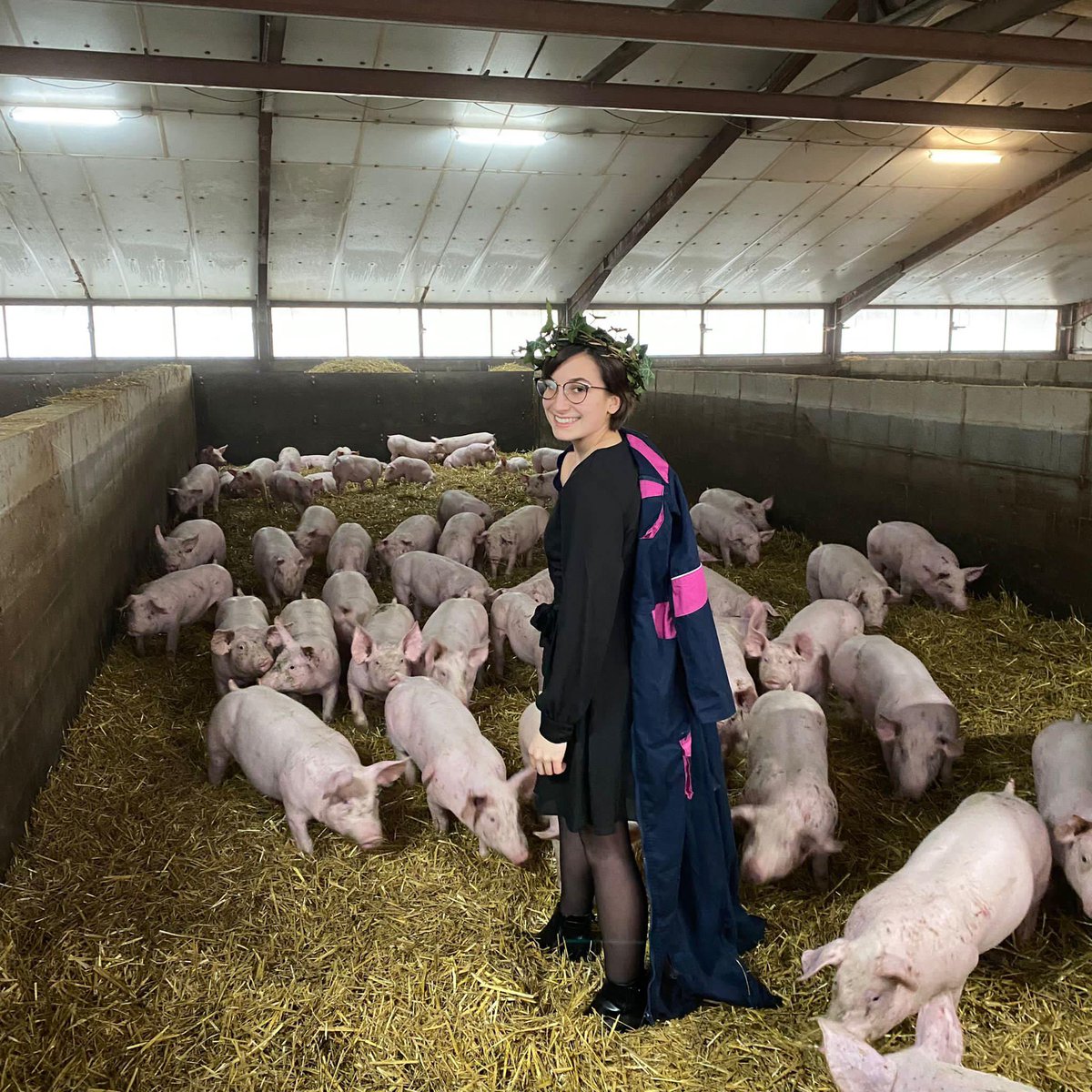 Que ce soit dans les champs, en plaine, à l'étable ou à la maison, les compagnons à 4 pattes accompagnent toujours nos agri ! 🐮🐶🐷😍

#Journéemondialedesanimaux