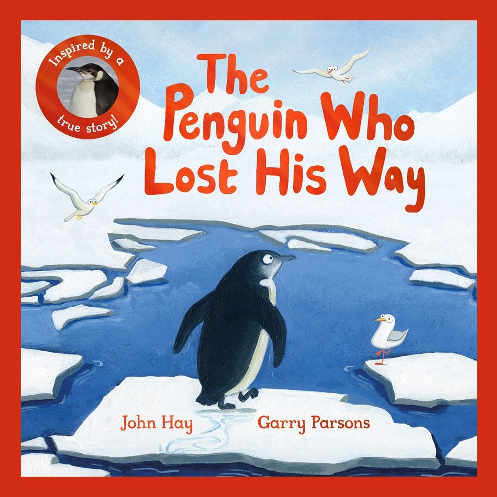Out now! ✨🐧 The Penguin Who Lost His Way, this amazing true animal story about a brave little penguin will warm your heart. Written by John Hay and beautifully illustrated by Garry Parsons. @ICanDrawDinos @MacmillanKidsUK