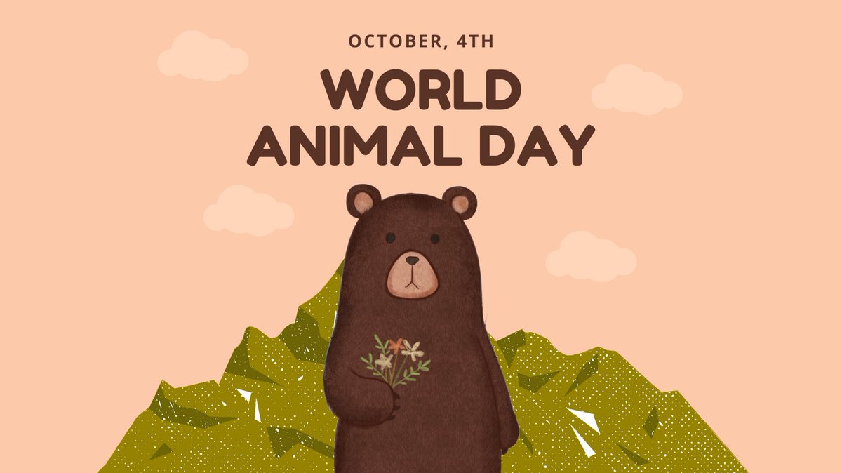 bearbonesit's tweet photo. 🐻🌍 Happy World Animal Day from Bear Bones IT! 🌟 Remember, our 'Bear Necessity' is top-notch IT support! 😉🐾 #WorldAnimalDay #TechBears #BearBonesIT https://t.co/eTpmiJBlE3