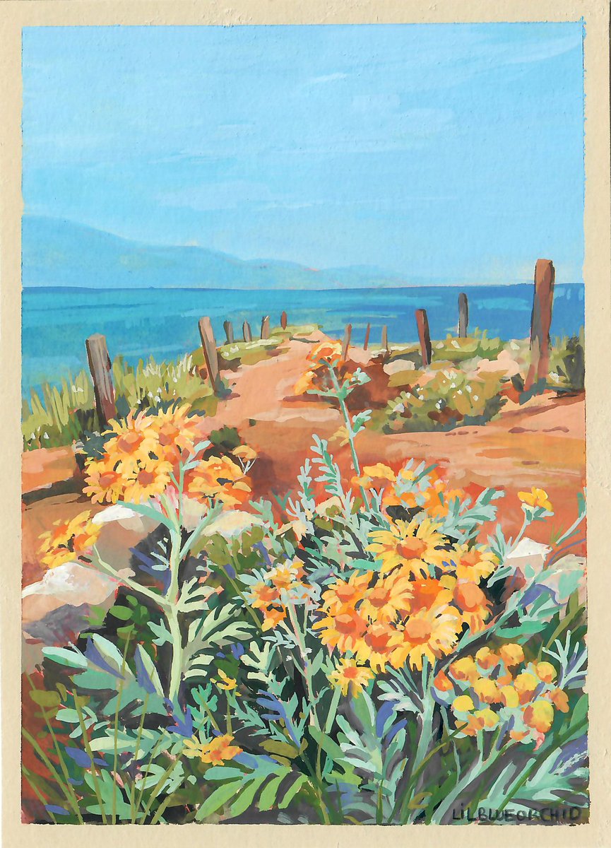 Memories lost to the sea 🍂