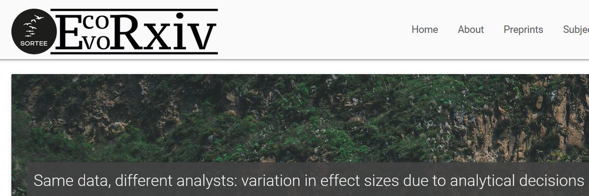 When many different researchers analyze the same data, results vary .... A LOT! Our Many-Analysts study from ecology and evo-bio is FINALLY up on @ecoevorxiv doi.org/10.32942/X2GG62 Thanks to the HUNDREDS of researchers who made this study possible.