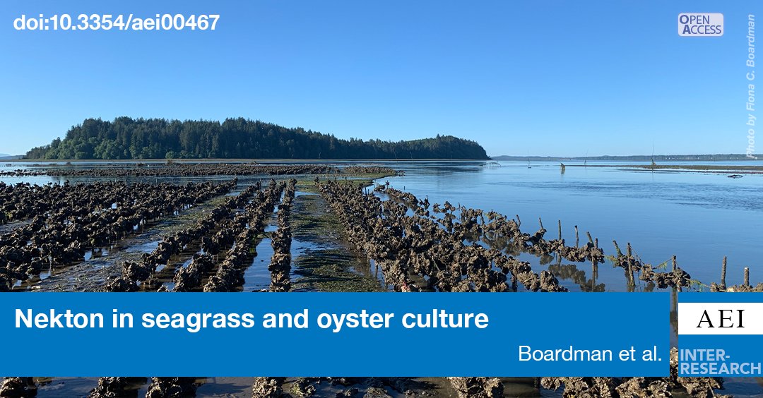 #Seagrass, on-bottom #oysteraquaculture, suspended oyster aquaculture, and bare mudflat create a habitat mosaic in Willapa Bay, WA. All habitat types are used by fish and mobile invertebrates, but with varying community assemblages. bit.ly/aei_15_307