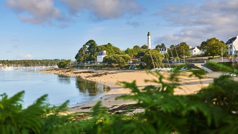 Guillaume tweet media
