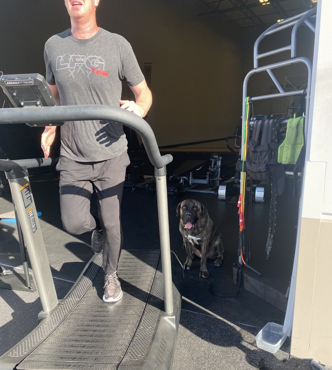 PhilBeckner's tweet photo. Interval training with Gus!

1 minute on - 1 minute off. 

Big dog can’t keep up. 
Zero encouragement when I run - not a great teammate. 🤣 https://t.co/31CG8OtAcX