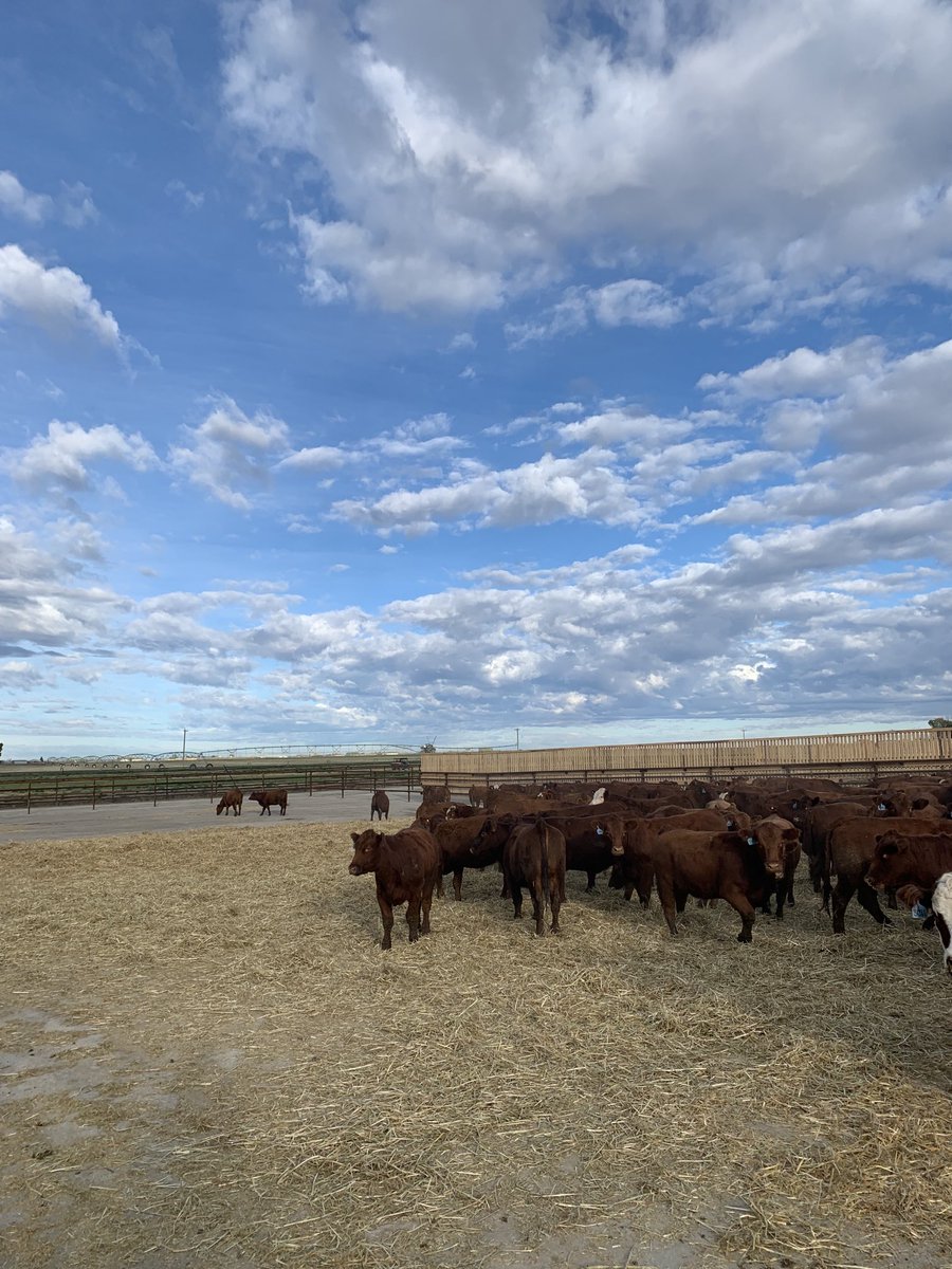 Matt Slingerland tweet media