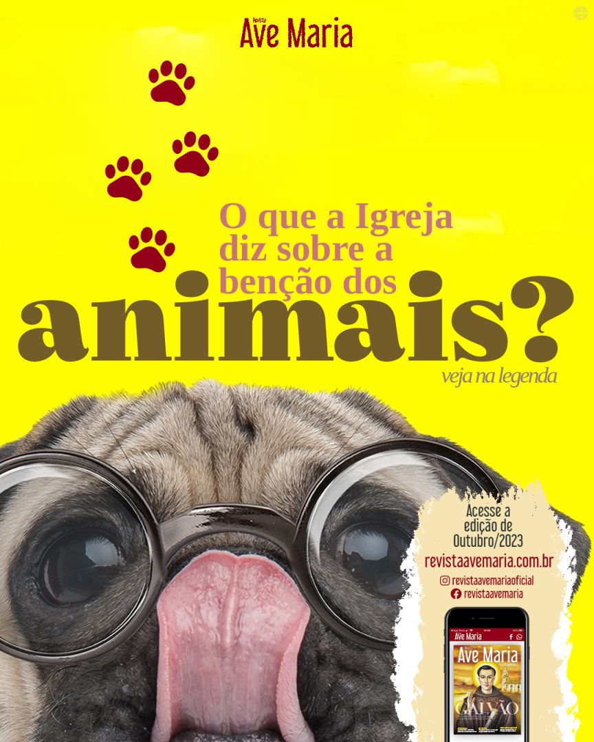 RevistaAveMaria's tweet photo. Os animais, embora destinados ao bem comum da humanidade, devem ser tratados com respeito e dignidade, e o amor.
Por Dom Julio Endi Akamine SAC

.
.
.#SaoFranciscoDeAssis #bencaodosanimais #amoraosanimais #respeito #criacaodivina #natureza #IgrejaCatolica #fe #espiritualidade https://t.co/KiJ2Ik7C7b