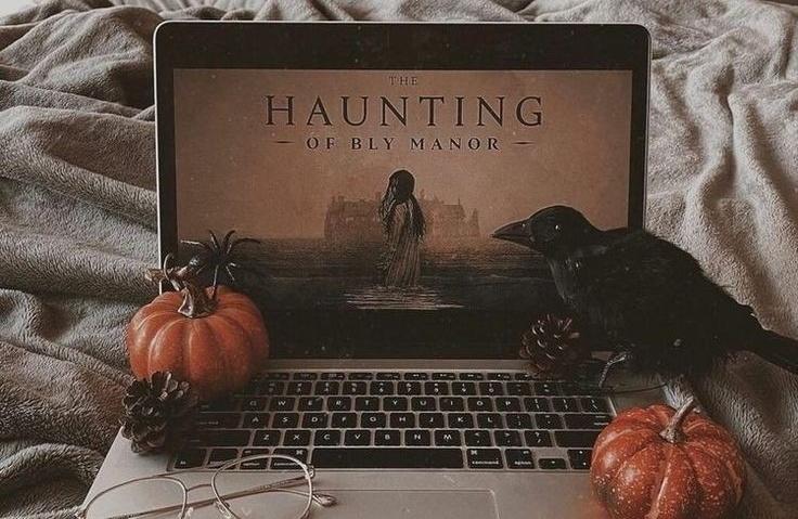 AcademiaDreams's tweet image. Fall movie nights 🎬