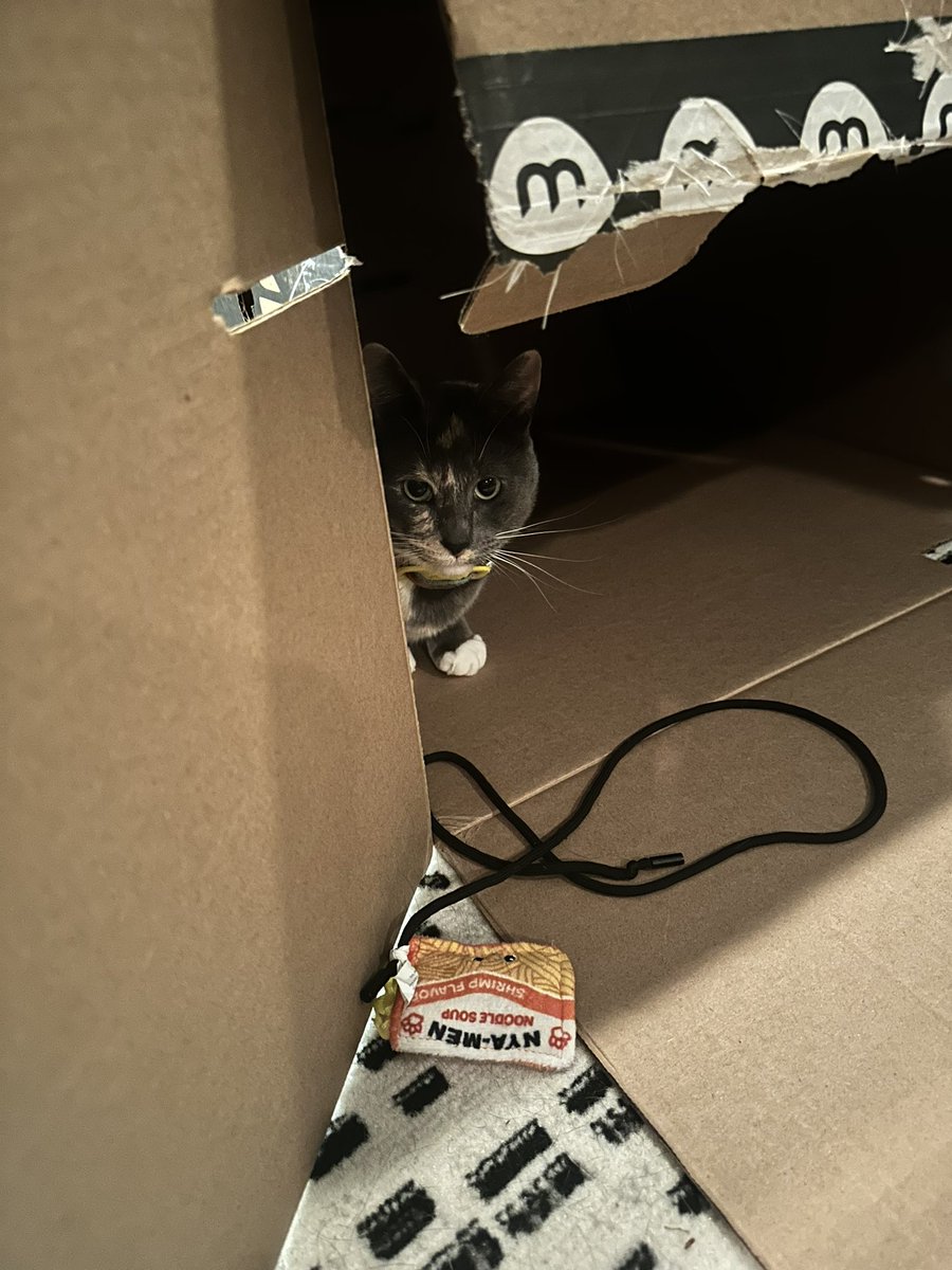 If she loves the <a href="/Litter_Robot/">Litter-Robot by Whisker</a> as much as she loves the packaging, we’ll be a-okay! 👌🏼