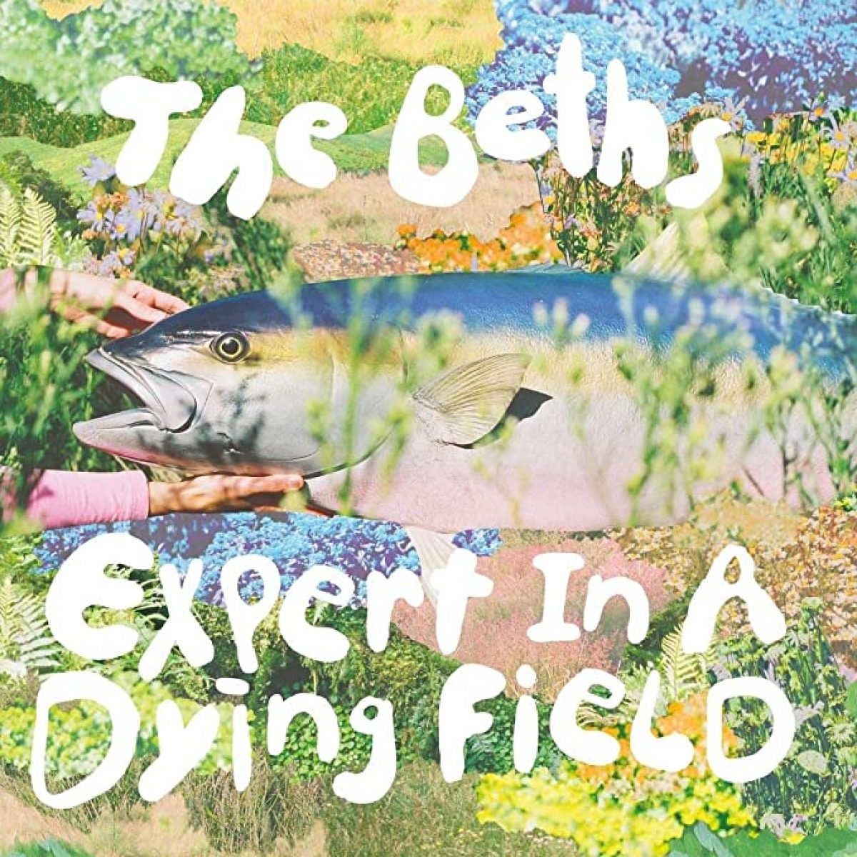 maunderCAPAM's tweet photo. How does it feel to be an expert in a dying field. Were the #Beths thinking about #fisheries #stockassessment when they wrote the song?
Congratulations for winning the @APRAAMCOSNZ Silver Scroll Award
@THEBETHS https://t.co/7faAHkOdpj
