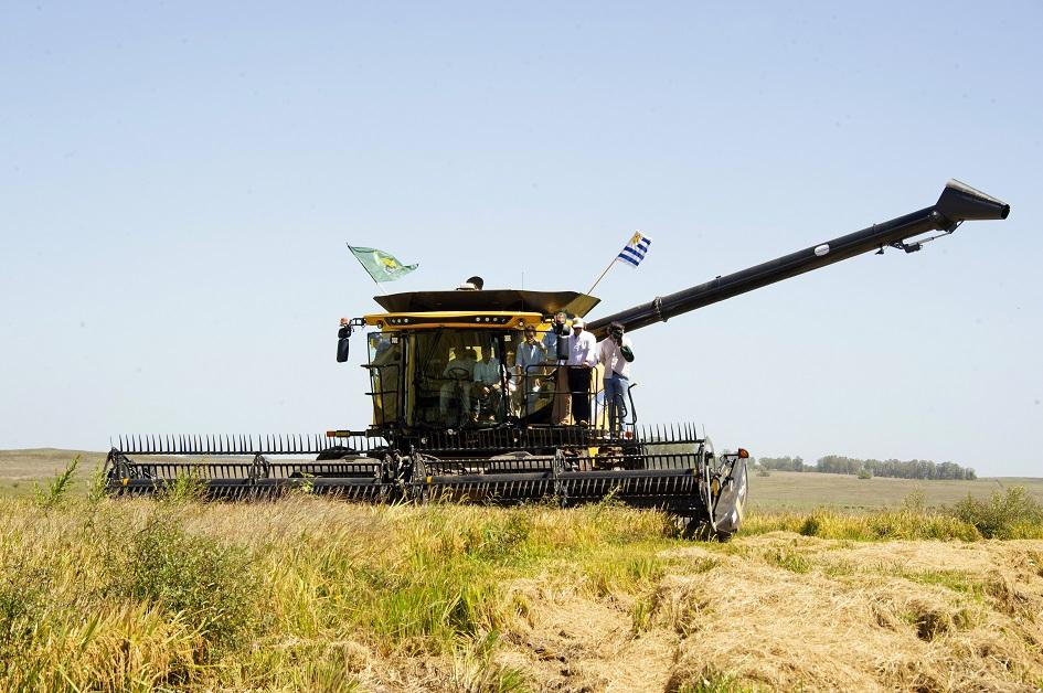 MGAPUruguay's tweet photo. #AHORA datos de #MGAP #OPYPA #DIEA, @ACAoficial, @GArroceros y Comisión Sectorial del Arroz.

👉𝐒𝐈𝐄𝐌𝐁𝐑𝐀 𝐀𝐑𝐑𝐎𝐙 (𝐳𝐚𝐟𝐫𝐚 𝟐𝟎𝟐𝟑/𝟐𝟎𝟐𝟒):
🌾Intención de siembra: 160.085 Ha.
🌾Área según agua disponible al 30/9: 140.800 Ha. 
🌾Área de siembra esperada: 152.000 Ha. https://t.co/ONQPUfI77D