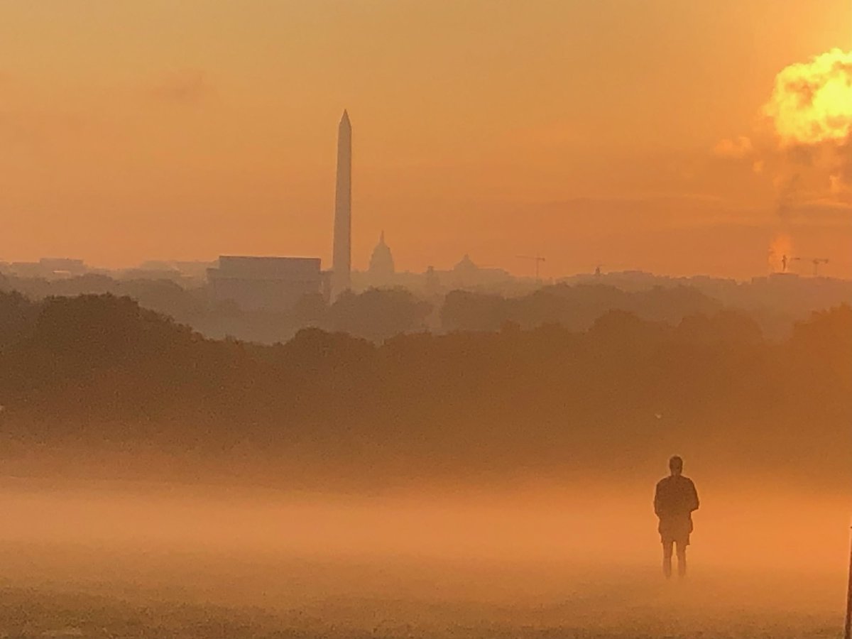 JACK ✻ tweet media