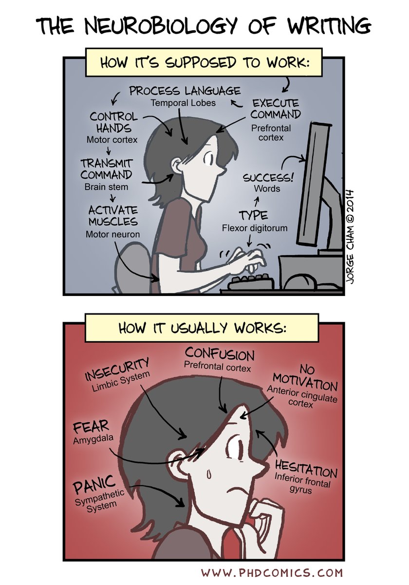 Neurobiology of writing