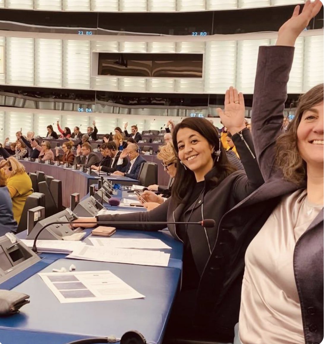 Karima Delli tweet media