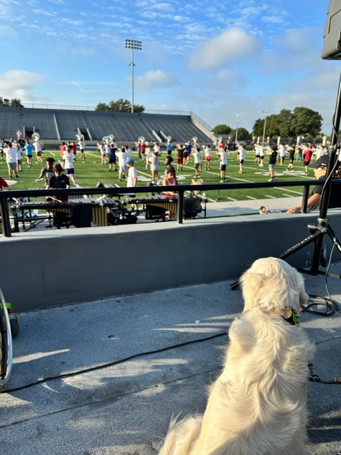 Keri_A_McCarty's tweet photo. Our G6 Bobcats had an opportunity to walk over to @hebisd Pennington Field this morning - they were invited to watch a portion of the @EulessTrinityHS Marching Band's practice - such a great experience!
*And of course @BMEBaxter wanted to see too! https://t.co/3D55bvQwSF