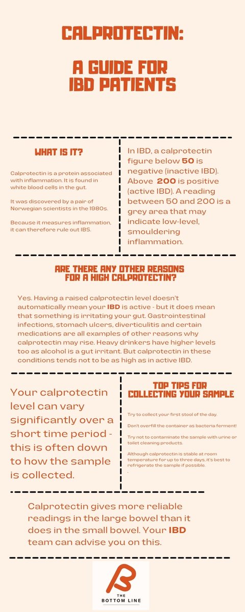 The Bottom Line IBD tweet media