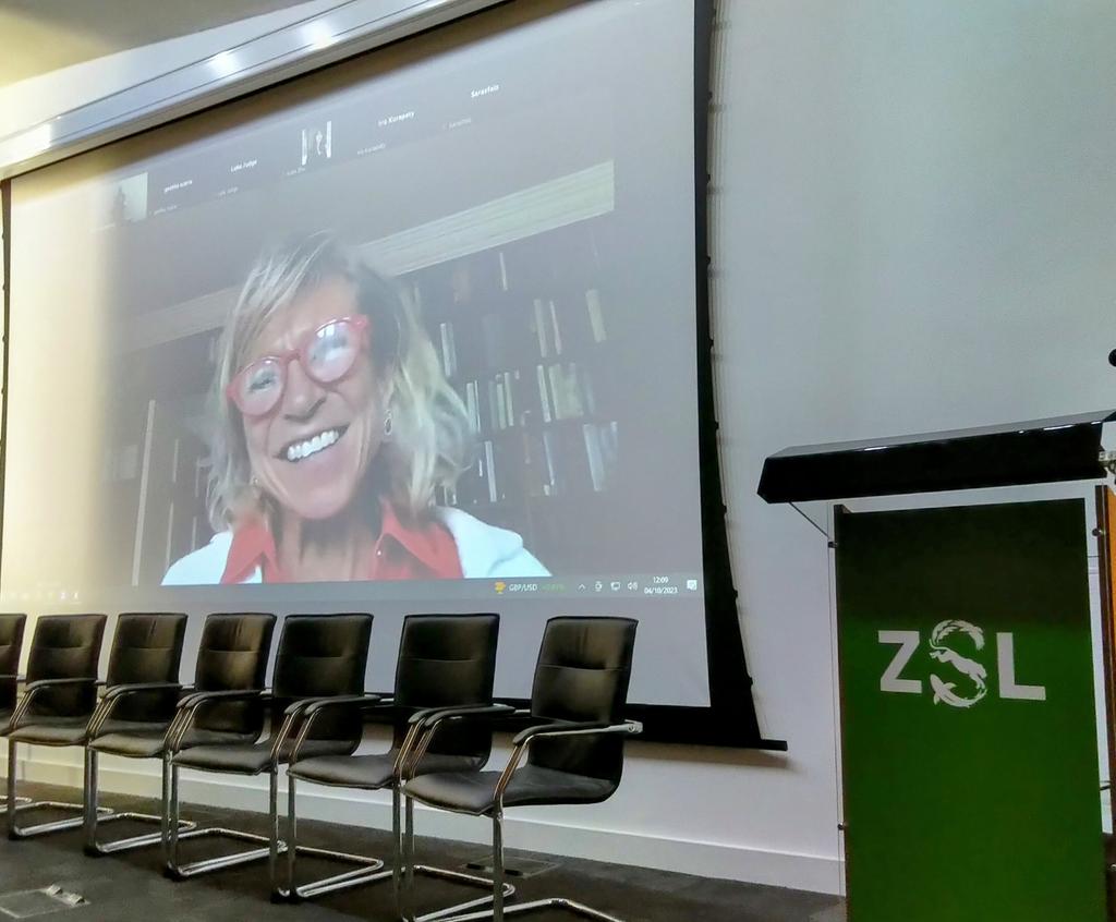 Rasha Saïd ✨ tweet media