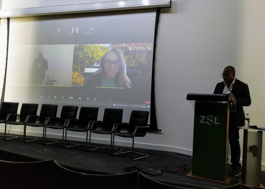 Rasha Saïd ✨ tweet media