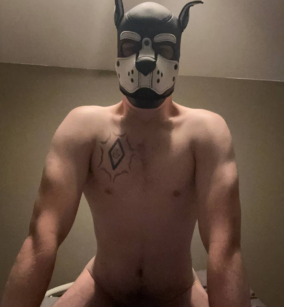 Wanna come play? 

#gay #pupplaycommunity #pupplay #pup #nsfw #leather