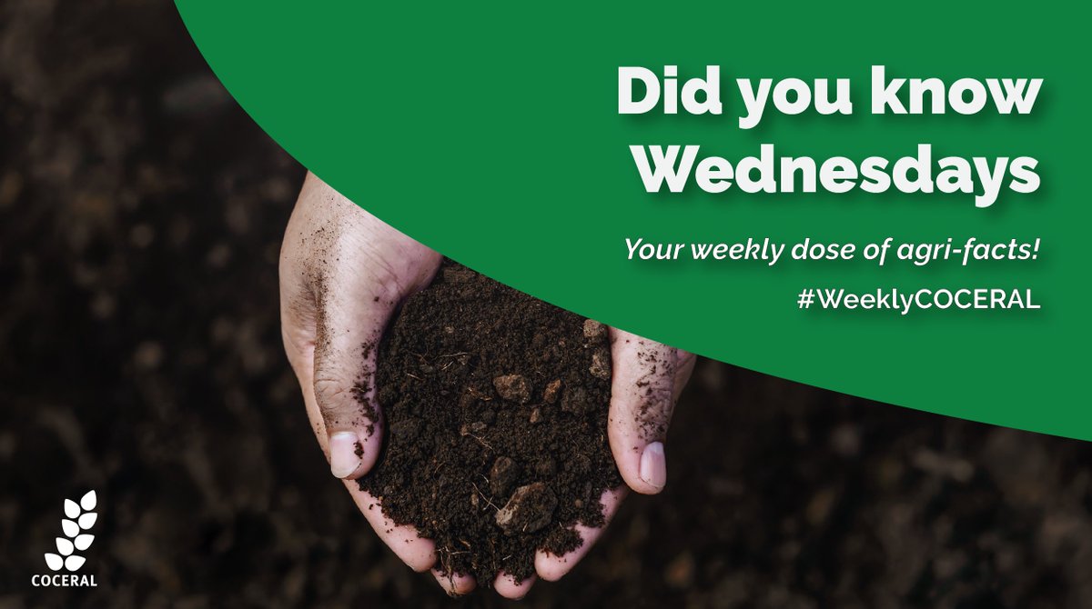 COCERAL_EU's tweet image. Did you know that out of 92 natural chemical elements, 18 are essential to plants and 15 of those come from soil? (@FAO)

Soil fertility is key for crop yields and quality - that's why #SoilHealth is tied to the health of people, plants, animals and ecosystems!

#WeeklyCOCERAL