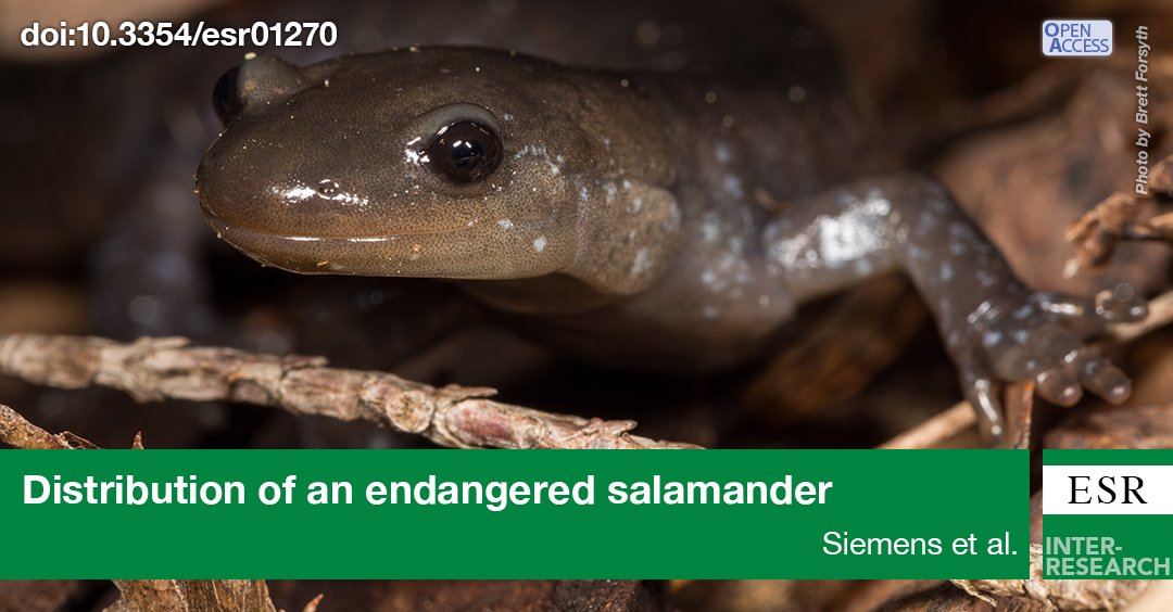 Our SDM predicts suitable habitat of the endangered #JeffersonSalamander to direct conservation efforts for this species. We demonstrate the importance of protecting the #OntarioGreenbelt from future development and how SDMs can inform conservation. bit.ly/esr_52_81