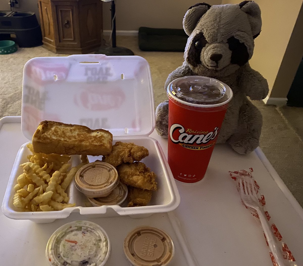 Mapache_444's tweet photo. My bro went to @raisingcanes and got me all this: Everything was yummy!! https://t.co/wFKkaJ8WRg