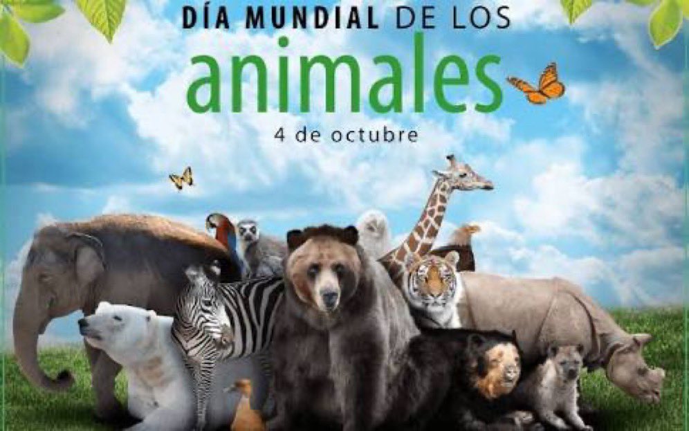 EfemerideDelDia's tweet photo. #UnDiaComoHoy #04O se celebra el Día Mundial de los Animales
#DíaDeLosAnimales https://t.co/nqeui4mVIl