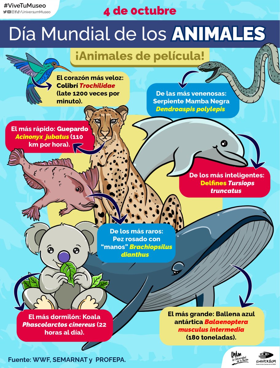 El Día Mundial de los Animales busca concienciar sobre los derechos de los animales. 🐻🦝🐤🐴🐝

¡Los animales son increíbles! 🤩💛 Y aquí te traemos unos que parecen ¡de película! 😲👇

#ViveTuMuseo