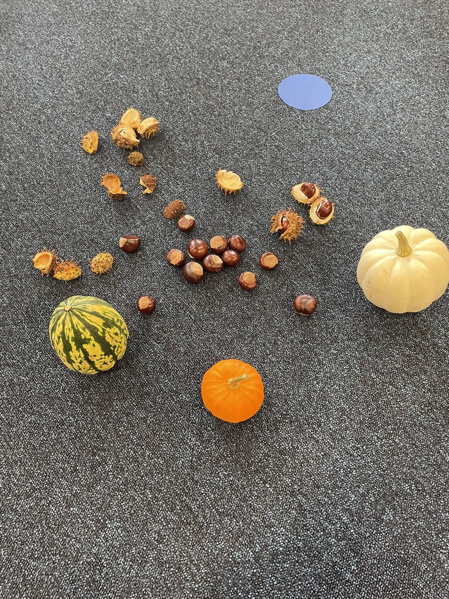 RPSRadcliffe2D's tweet image. We have been learning about the different seasons in Science, can you guess which season we looked at today?
These items are starting off our autumn table, we can’t wait to collect and add to it as the season progresses 🍁🍂