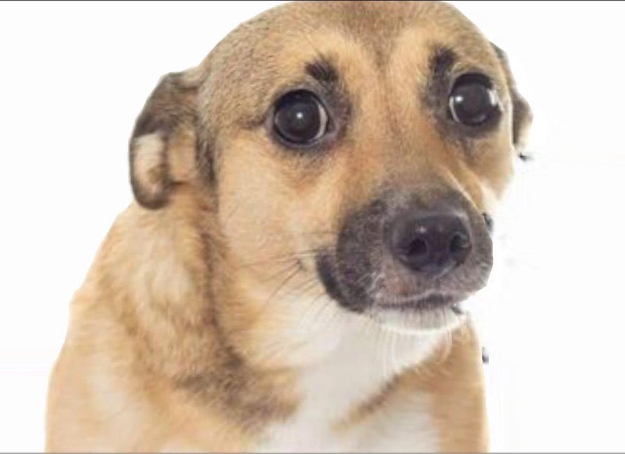 no me llamo vicenta tweet media