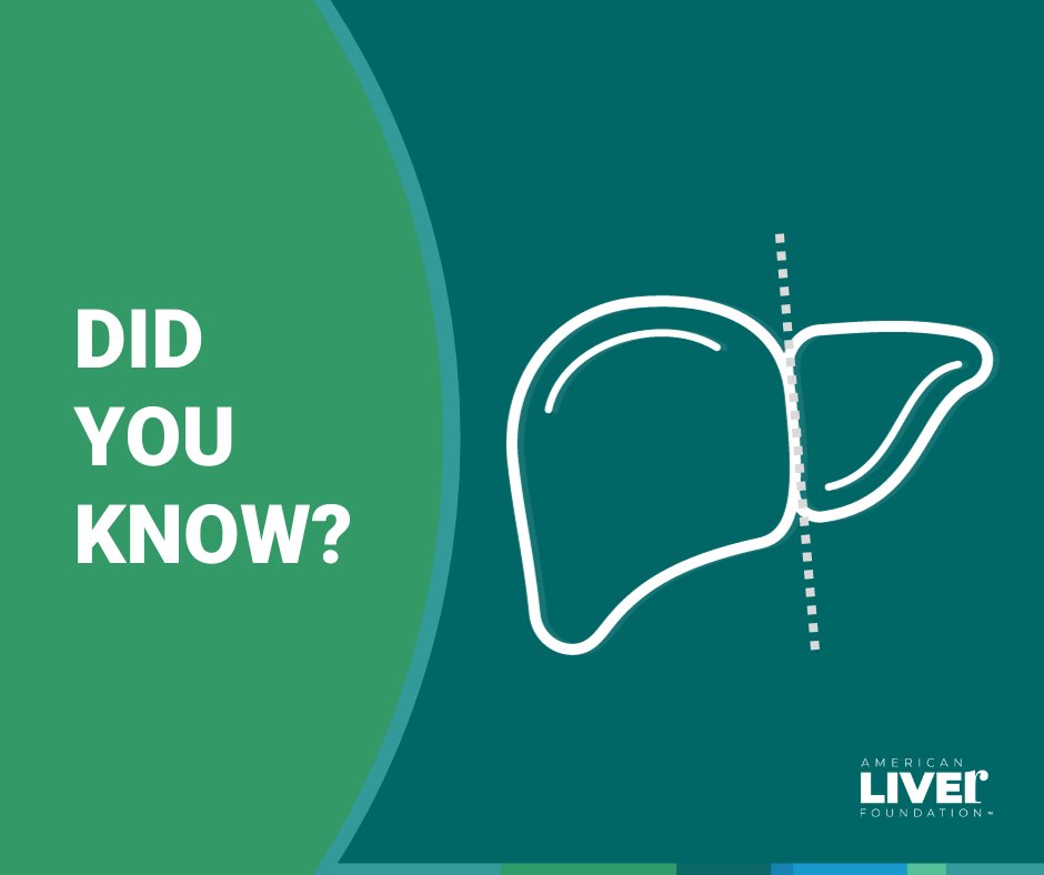 liverUSA's tweet photo. Did you know that the liver can regenerate? That means, when you donate a portion of your liver, yours will regrow to full size and so will the recipient’s. This National Liver Awareness Month, learn about Living Donor Liver Transplantation: https://t.co/bwjkcRnSpS https://t.co/9pCw7kDxzn