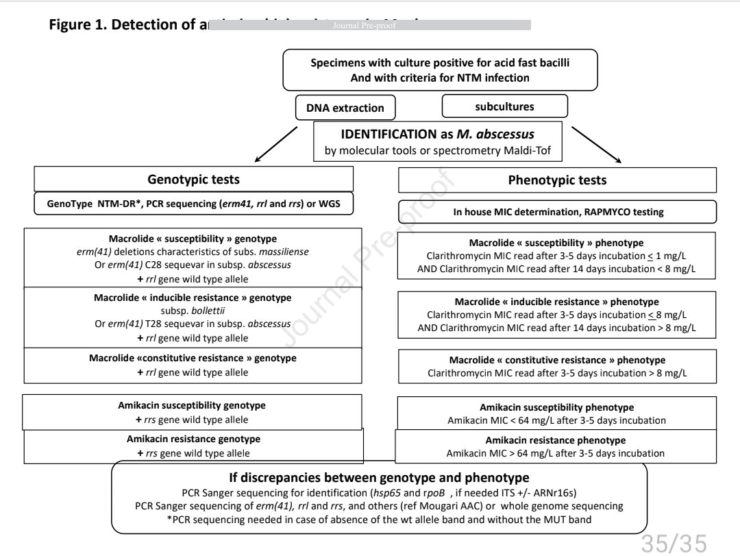 🆕️🌟 Review <a href="/CMIJournal/">Clinical Microbiology and Infection</a>
Antimicrobial susceptibility of Mycobacterium abscessus and treatment of pulmonary and extra-pulmonary infections #IDXposts 
clinicalmicrobiologyandinfection.com/article/S1198-…