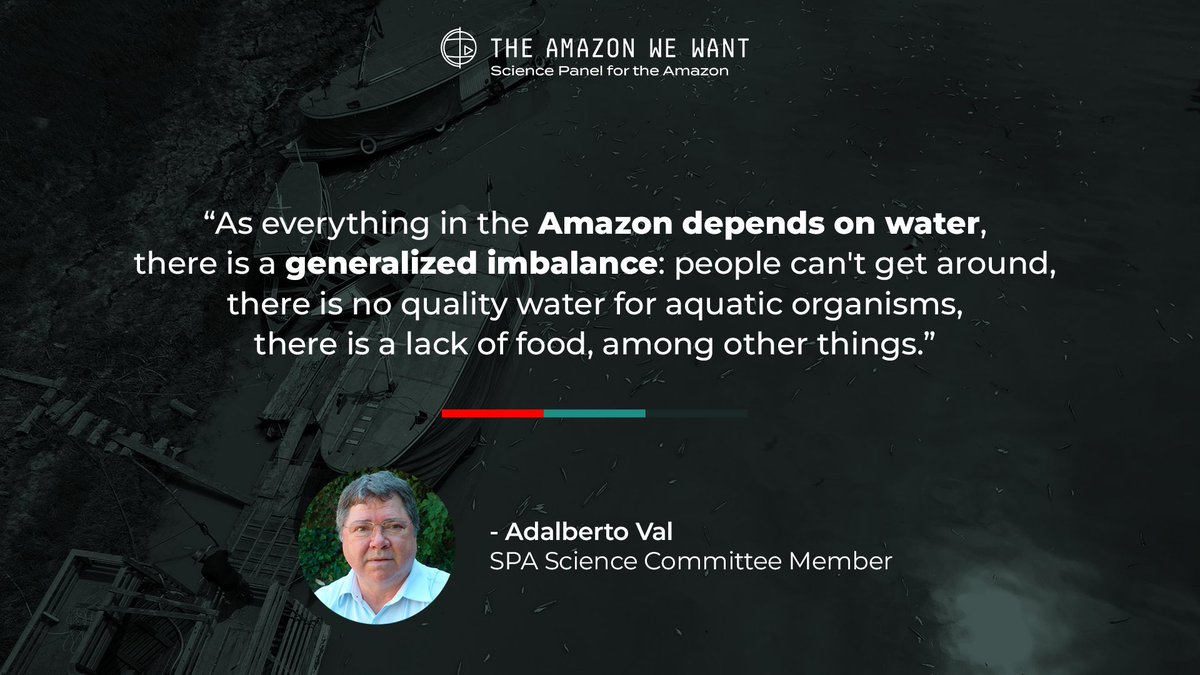 theamazonwewant's tweet photo. 🔴#AmazonDrought
⚫Adalberto Val on this #AmazonEmergency: 
The well-defined environmental cycles of flooding and drought are experiencing extreme variations, leading to a heightened amplitude between peak floods and ebb periods. This disruption, has caused widespread imbalance. https://t.co/HAkWYSAd6P
