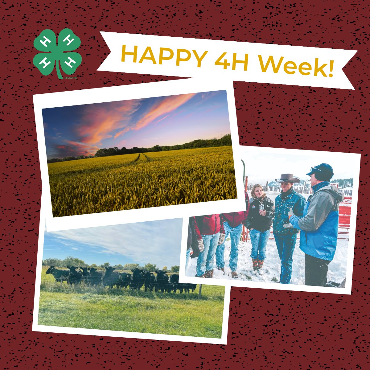 As the largest out-of-school youth development program in Montana, 4H is a wonderful organization that propels students into many areas, but particularly into the agricultural industry. #national4hweek 🍀