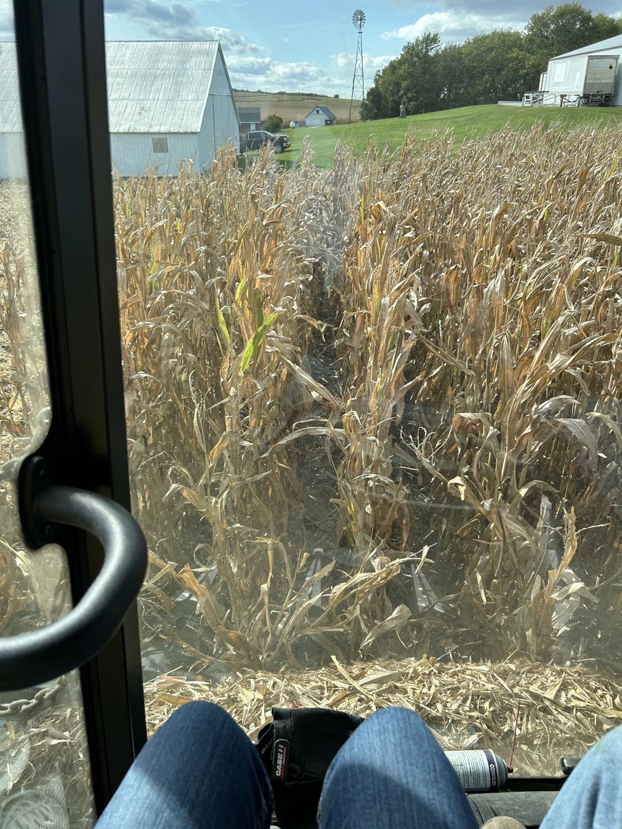 Corn ride with my favorite farmer! 2023 #IowaCorn