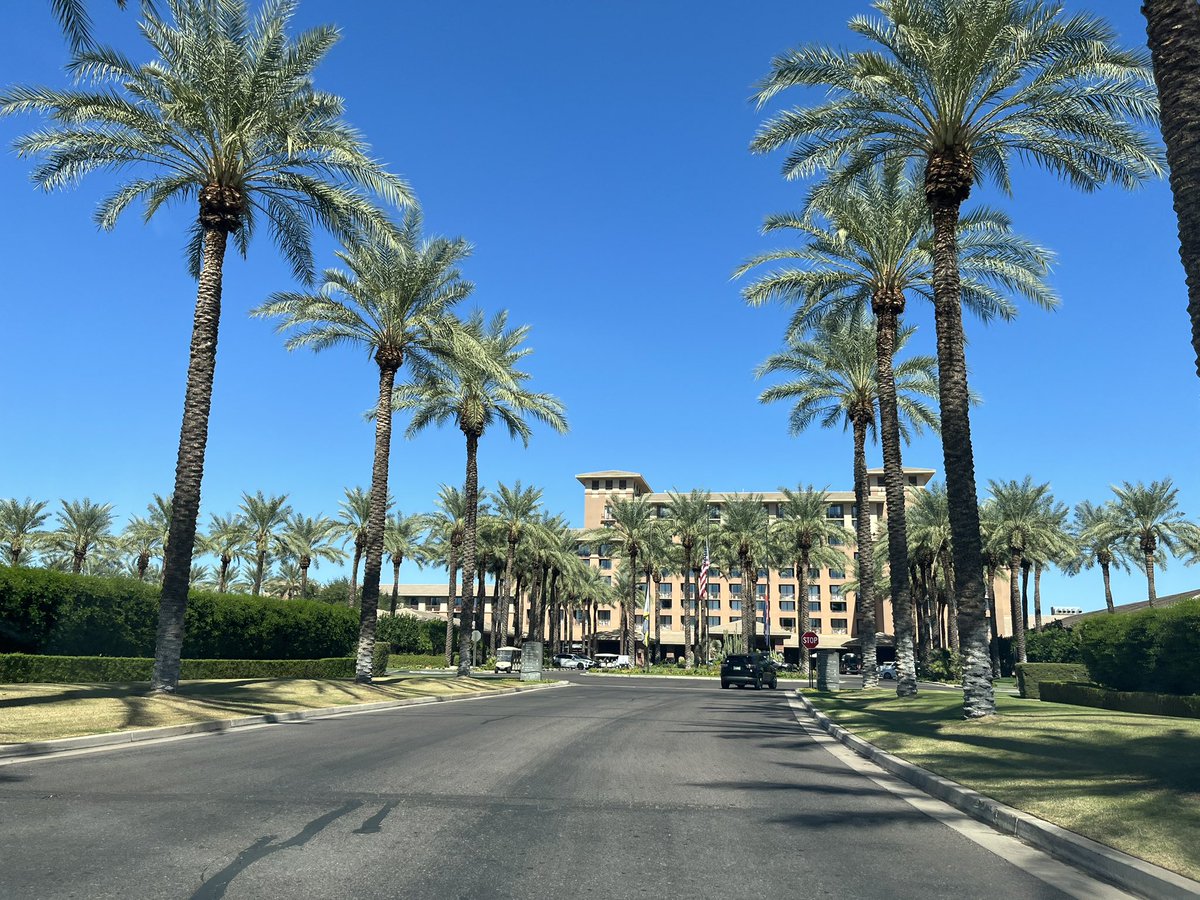 Michael Amini tweet media